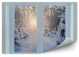 Zimowy las okno Fototapeta Zimowy las okno 250x250cm