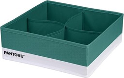 PANTONE  organizer do szafy i szuflad zajmuje