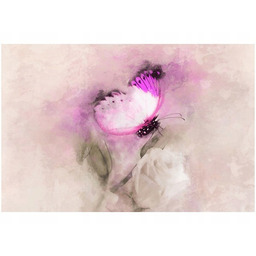 Obraz Rose Butterfly motyl pastelowy księżniczka