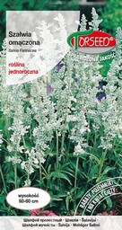 Szałwia omączona - Salvia farinacea niebieska 0,5g