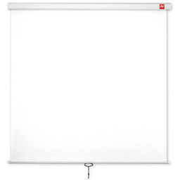 Ekran ścienny projekcyjny Avtek Wall Standard 175
