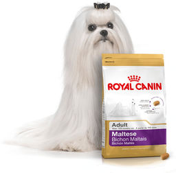 ROYAL CANIN Maltese Adult 500g