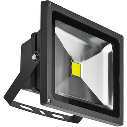 Azzardo Naświetlacz LED 30W DGR