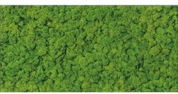 Płytka ścienna inserto FRESH MOSS green 29,8x59,8 gat.