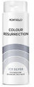Montibello Colour Resurrection Ice Silver Odżywka koloryzująca 150