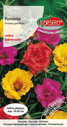 Portulaka - Portulaca grandiflora pełna - mieszanka 0,5g