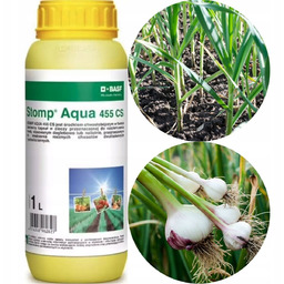 Stomp Aqua 455CS 1l Basf chwasty w cebuli,