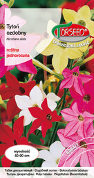 Tytoń ozdobny - Nicotiana alata mieszanka 0,5g