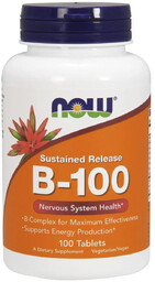 Now Foods Vitamin B-100 Sustained Release Witamina B