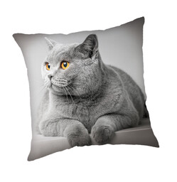 Jerry Fabrics Poszewka dziecięca 45x45 Kot szara JF24