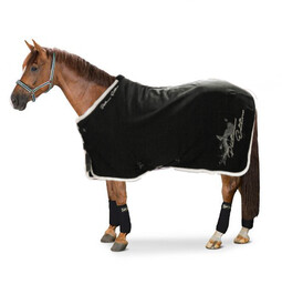 Eskadron Platinum derka jersey - black