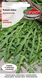 Rukola dzika Diplotaxis tenuifolia 0,5g