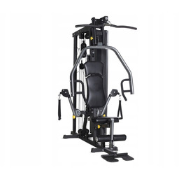 Atlas Horizon Fitness Torus 3