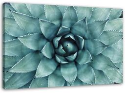 Obraz na płótnie, Niebieski aloes 60x40