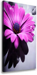 Foto-obraz canvas do salonu Różowa gerbera