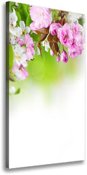 Foto obraz na płótnie pionowy Wiosenne kwiaty
