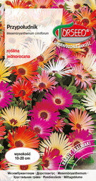 Przypołudnik - Mesembryanthemum criniflorum mieszanka 1g