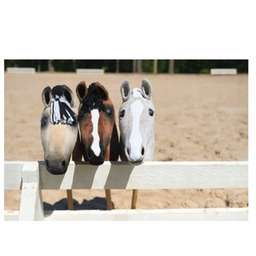 PUZZLE HOBBY HORSE KONIE KOŃ A3 252 el