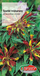 Szarłat trójbarwny - Amaranthus tricolor żółto-czerwony 0,5g