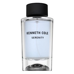 Kenneth Cole Serenity woda toaletowa dla mężczyzn 100