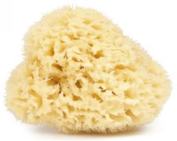 Naturalna Gąbka Śródziemnomorska, Najel, 1 szt.