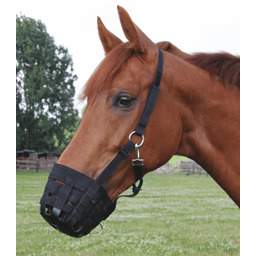 WALDHAUSEN Kaganiec MUZZLE
