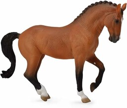 Collecta klacz rasy Hanowerski Gniada