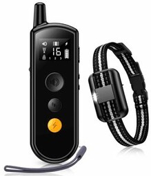 Patpet T504