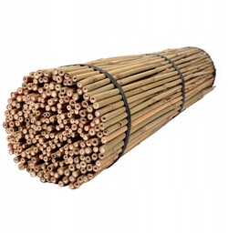 Tyczki Bambusowe 120 cm 10/12 mm 100 szt