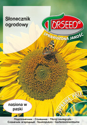 Słonecznik jadalny Słonecznik ogrodowy 10g