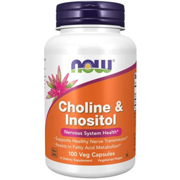 NOW Foods Cholina & Inozytol 500 mg 100