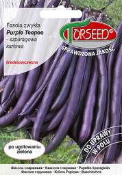 Fasola zwykła karłowa szparagowa fioletowa Purple Teepee 30g