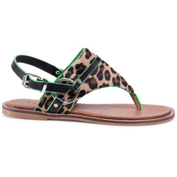 Sandały Sergio Bardi SB-50-09-000473 Brązowy