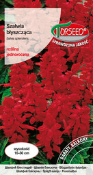 Szałwia błyszcząca - Salvia splendens odcienie czerwieni 0,5g
