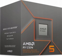 Amd Ryzen 5 8600G