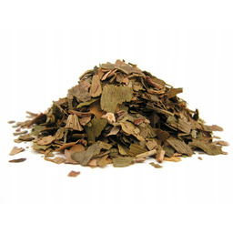 MIŁORZĄB japoński LIŚĆ ginkgo 1 kg - Aromatika