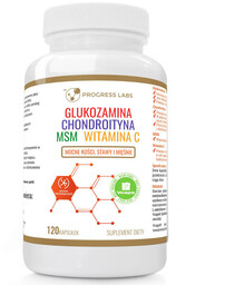 PROGRESS LABS Glukozamina Chondroityna MSM Witamina C 120caps