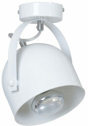 Emibig DOBSON 1 SPOT WHITE 775/1 plafon lampa