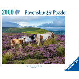 Puzzle Dzikie konie 2000 elementów Ravensburger