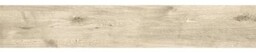 Gres szkliwiony ASKANIA / ALPINA WOOD beige mat