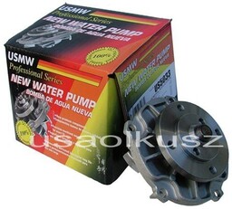 Pompa wody Pontiac Torrent