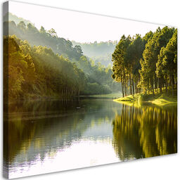 Obraz, Krajobraz las drzewa natura 90x60