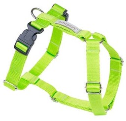 Amiplay Szelki regulowane Guard Samba S Zielony