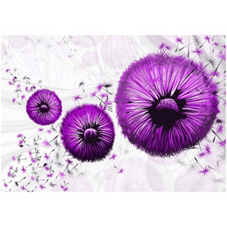 100 70cm Obraz płótno Fioletowe dmuchawce płótno rama