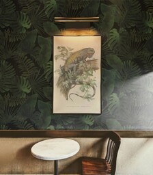 Wallcolors Tapeta Tropical Forest Dark