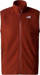 THE NORTH FACE Glacier kamizelka Sulphur Moss XXL