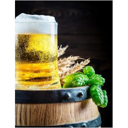 Kurs degustacji piwa Kraków