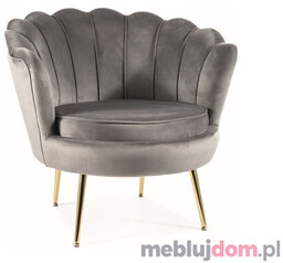 Fotel CAMELLIA VELVET Signal Szary
