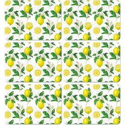 Zestaw 6 letnich plastikowych mat stołowych, z motywem