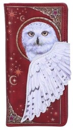 Biała Sowa "Magiczny Lot" - portfel z sową